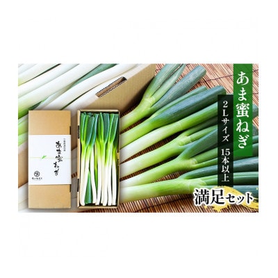 あま蜜ねぎ 満足セット【長ネギ】[53720334]