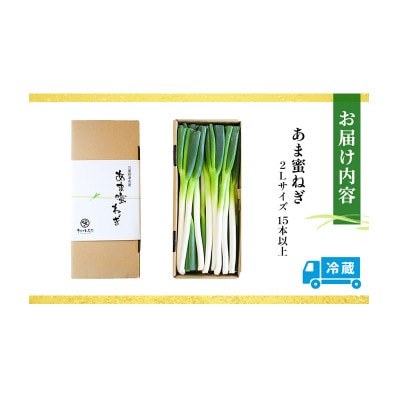 あま蜜ねぎ 満足セット【長ネギ】[53720334]