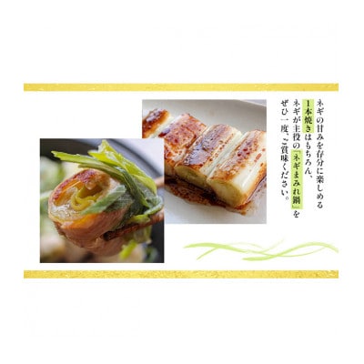 あま蜜ねぎ 満足セット【長ネギ】[53720334]