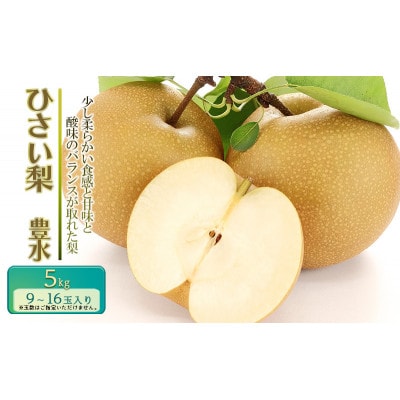 【先行予約】ひさい梨 豊水 5kg【果樹 秀専】[53720116]