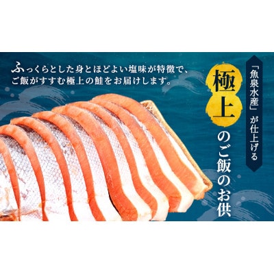 【毎月定期便】訳あり 厚切り 塩銀鮭 切り身 1kg 500g×2袋[53720570]全2回