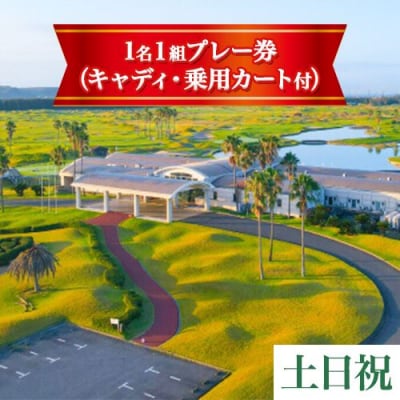 「土日祝」JFE瀬戸内海ゴルフ倶楽部プレー券(キャディ・乗用カート付)　4-12b