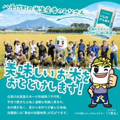 令和6年産茨城県産にじのきらめき 精米 20kg (5kg×4袋)