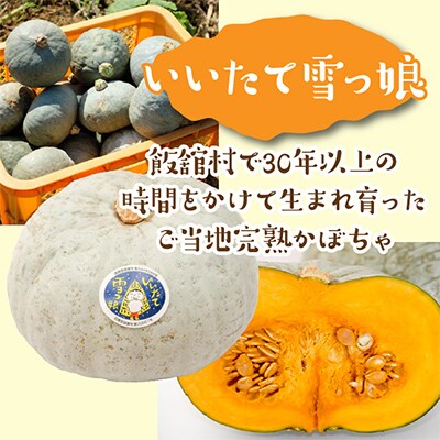 かぼちゃ畑の完熟ジェラート
