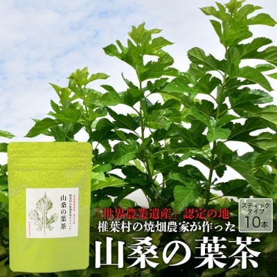 【世界農業遺産の産物】焼畑農家がつくった山桑の葉茶 スティックタイプ【桑茶】