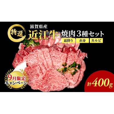 【9月末までの限定価格】近江牛 特選 焼肉 3種盛り 約400g[53820165]