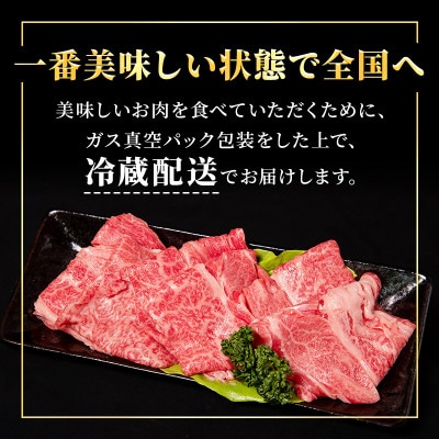 近江牛特選霜降りしゃぶしゃぶ用約750g[53820056]