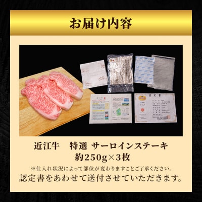 近江牛特選サーロインステーキ約250g×3枚[53820058]