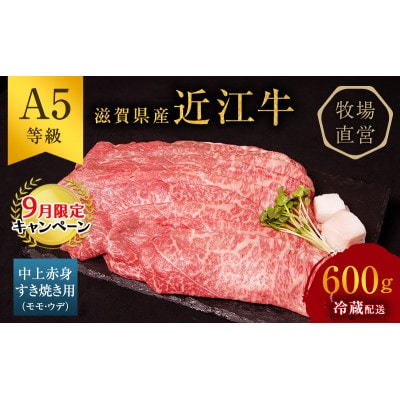 【9月末までの限定価格】近江牛 すき焼き 中上赤身 約600g A5[53820301]