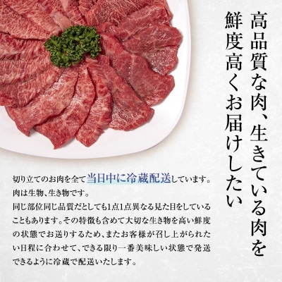 【近江牛 西川畜産】A5ランク雌牛上赤身焼肉用約600g[53820306]