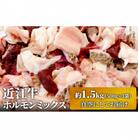 近江牛ホルモンミックス　約1.5kg[53820335]
