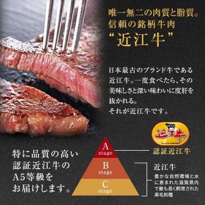 【近江牛 西川畜産】A5ランク雌牛 サーロインステーキ250g×5[53820062]