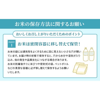 特A受賞歴 米 10kg みずかがみ 無洗米 令和7年産[53820327]