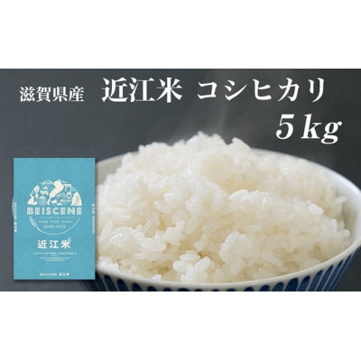 特A受賞歴 コシヒカリ 5kg 滋賀県 豊郷町産  令和7年産[53820372]