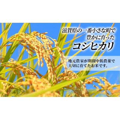 特A受賞歴 コシヒカリ 5kg 滋賀県 豊郷町産  令和7年産[53820372]