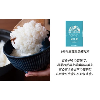 令和6年産　滋賀県豊郷町産　近江米 ミルキークイーン　10kg [53820393]