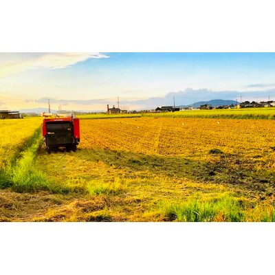 ミルキークイーン 5kg 無洗米 令和7年産 田中さんちのおいしいお米C[53820356]