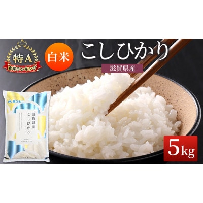 コシヒカリ 白米 5kg[53820693]