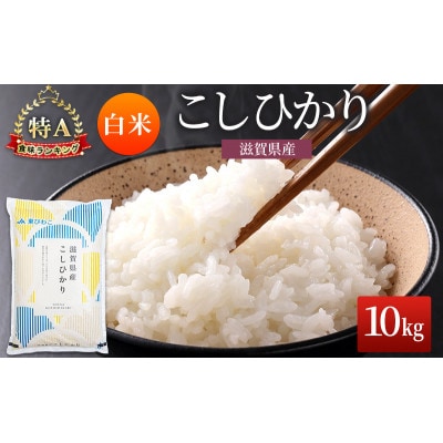 コシヒカリ 白米 10kg[53820697]
