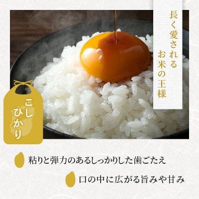 コシヒカリ 白米 10kg[53820697]