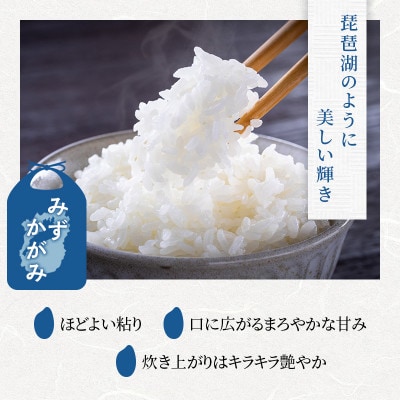 みずかがみ 白米 5kg[53820701]