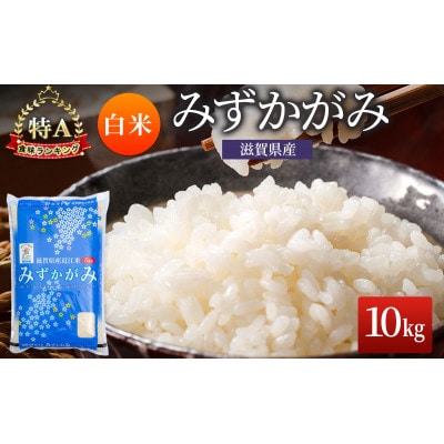 みずかがみ 白米 10kg[53820705] | ふるさと納税のお礼品