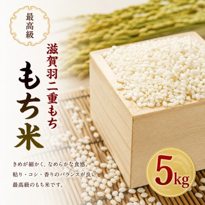 近江米 5kg もち米(滋賀羽二重もち)[53820737]