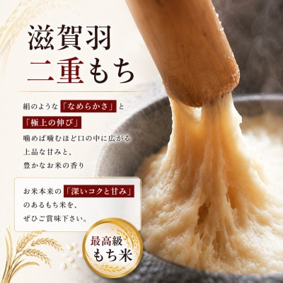 近江米 5kg もち米(滋賀羽二重もち)[53820737]