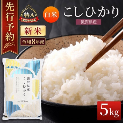 【令和8年産】コシヒカリ 白米 5kg 先行予約 新米[53820777]