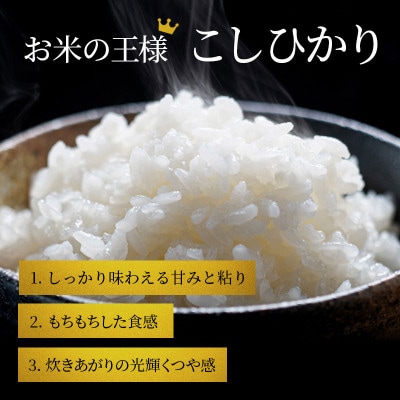 【令和8年産】コシヒカリ 白米 5kg 先行予約 新米[53820777]