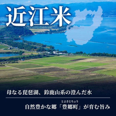 【令和8年産】コシヒカリ 白米 5kg 先行予約 新米[53820777]