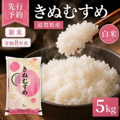 【令和8年産】きぬむすめ 白米 5kg 先行予約 新米[53820781]