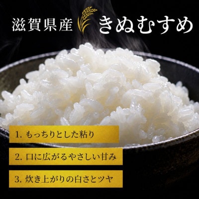 【令和8年産】きぬむすめ 白米 5kg 先行予約 新米[53820781]
