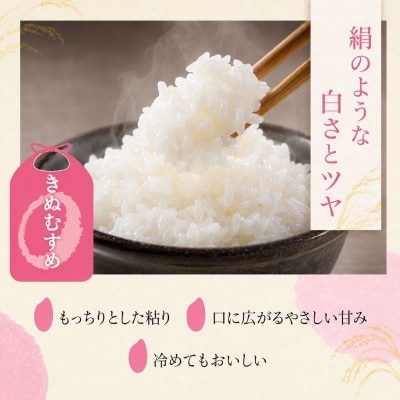 【令和8年産】きぬむすめ 白米 5kg 先行予約 新米[53820781]