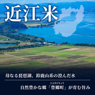 【令和8年産】きぬむすめ 白米 5kg 先行予約 新米[53820781]