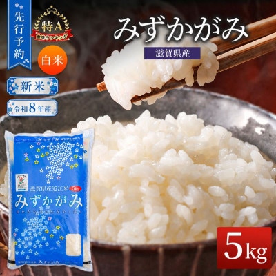【令和8年産】みずかがみ  白米 5kg 先行予約 新米[53820785]