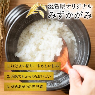 【令和8年産】みずかがみ  白米 5kg 先行予約 新米[53820785]