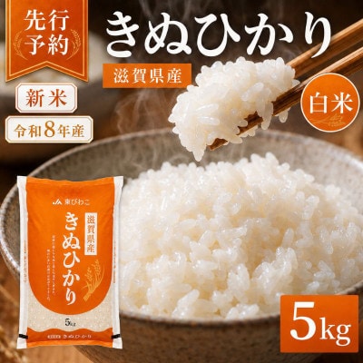 【令和8年産】キヌヒカリ 白米 5kg 先行予約 新米[53820789]