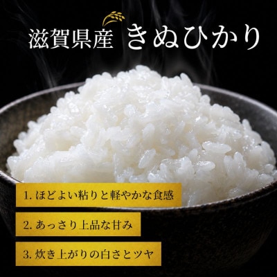 【令和8年産】キヌヒカリ 白米 5kg 先行予約 新米[53820789]