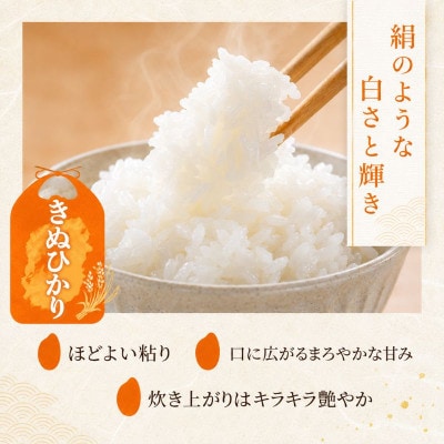 【令和8年産】キヌヒカリ 白米 5kg 先行予約 新米[53820789]