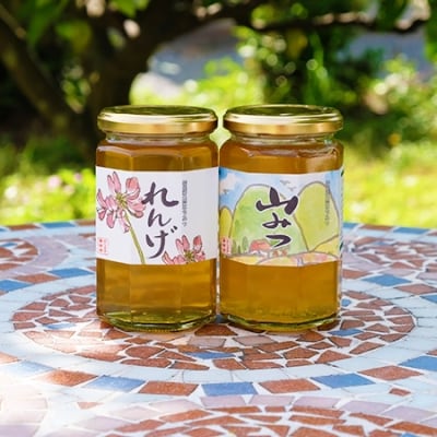 はちみつ 国産 天然 純はちみつ 370g×2本セット やまみつ&れんげ[No5354-0302]