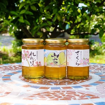 はちみつ 天然 純はちみつ 370g×3本セット やまみつ&さくら&れんげ[No5354-0303]