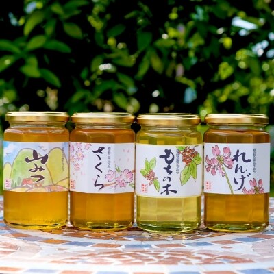 はちみつ 天然 370g×4本セット れんげ&もちのき&やまみつ&さくら[No5354-0304]