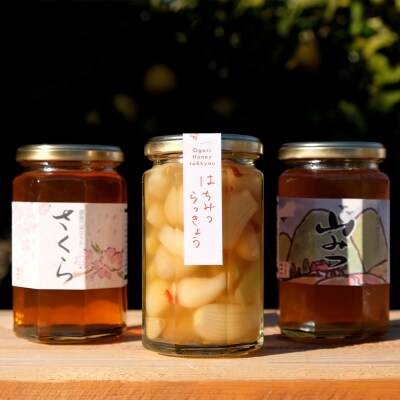 はちみつらっきょうセット やまみつ&さくら各370g らっきょう300g[No5354-0310]