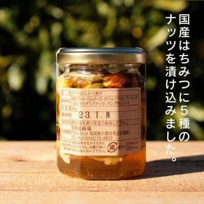 はちみつ 国産 天然 ナッツ&ハニー 150g×2本[No5354-0312]