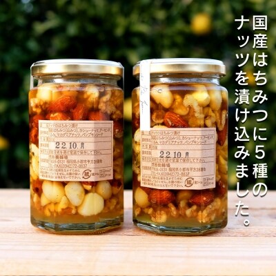 はちみつ 国産 天然 ナッツ&ハニー 350g×2本[No5354-0313]