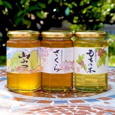 はちみつ 化粧箱入り 370g×3本セット さくら&もちのき&やまみつ[No5354-0323]