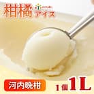 みかん職人が作った柑橘 アイス 河内晩柑 1000ml×1 シャーベット みかん職人武田屋