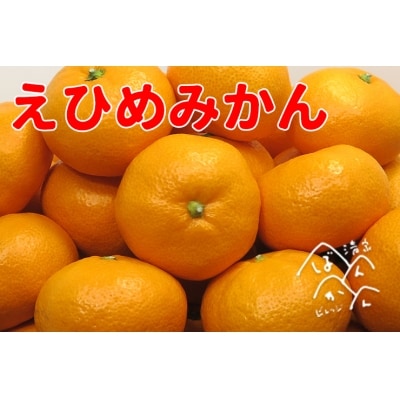 【贈答用】清家ばんかんビレッジの愛媛みかん5kg