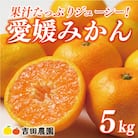 先行受付 愛媛みかん 5kg 愛媛 みかん 温州みかん 蜜柑 ミカン 柑橘 愛南町 愛媛県 吉田農園